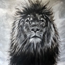 Lion NB